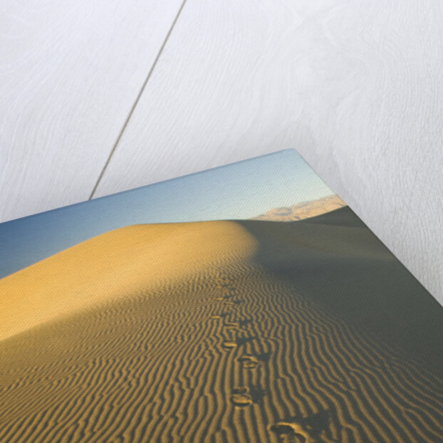 Footprints in Sand Dunes by Anonymous