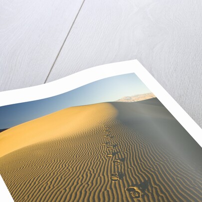 Footprints in Sand Dunes by Anonymous