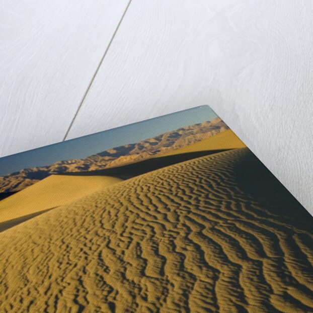 Ripples in Sand Dunes by Anonymous