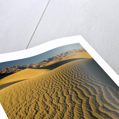 Ripples in Sand Dunes by Anonymous