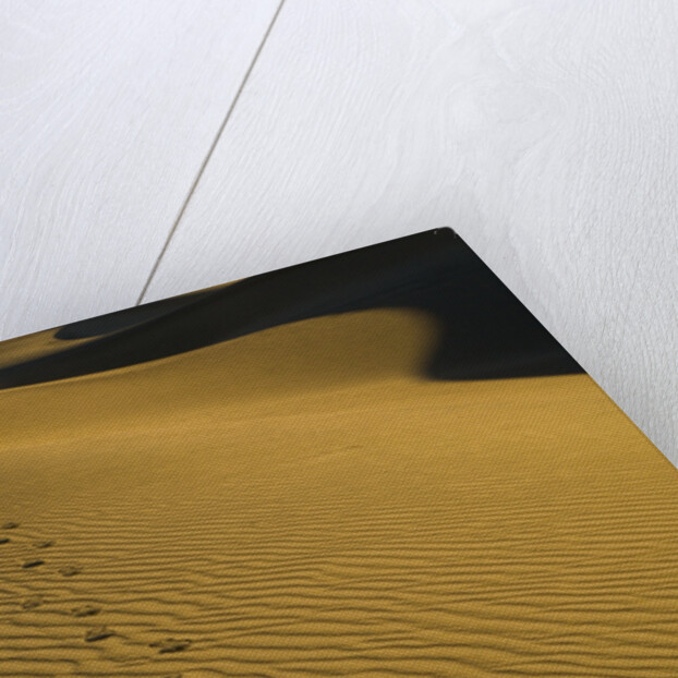 Footprints in Sand Dunes by Anonymous