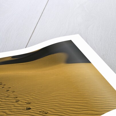 Footprints in Sand Dunes by Anonymous