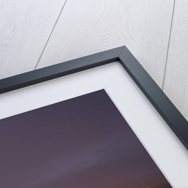 Golden Gate Bridge at Night by Anonymous