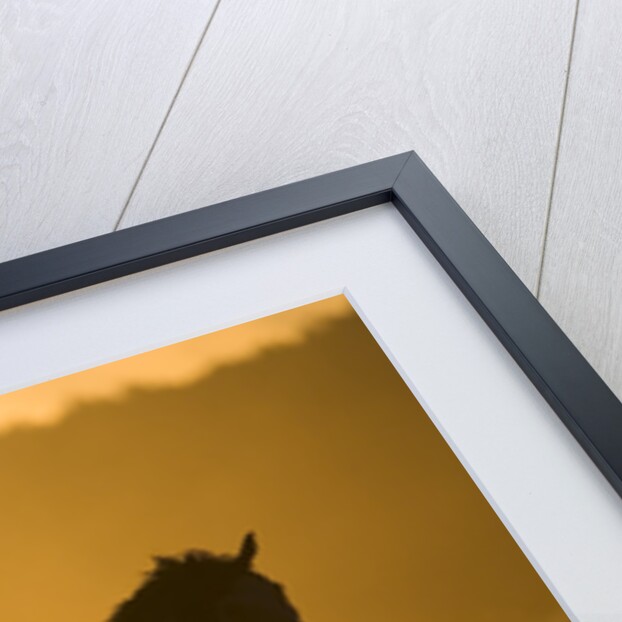 Silhouette of Cowboy Herding Horses by Anonymous