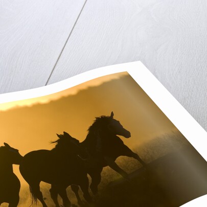 Silhouette of Cowboy Herding Horses by Anonymous