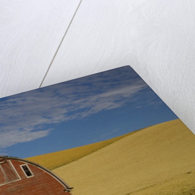 Red Barn in Wheat Field by Anonymous