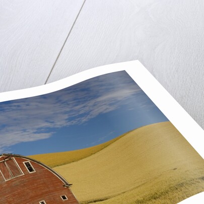 Red Barn in Wheat Field by Anonymous