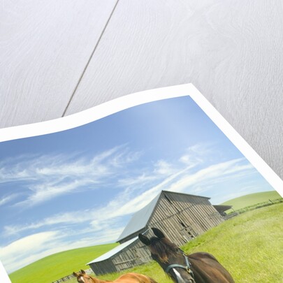 Horses and Barn in Prairie by Anonymous