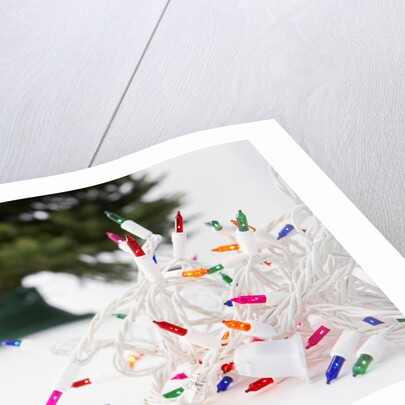Christmas Lights in Front of Tree by Anonymous