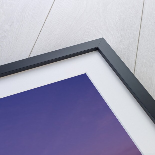 Arc de Triomphe at Dusk by Anonymous