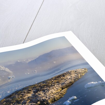 Small Rocky Island and Icebergs by Anonymous