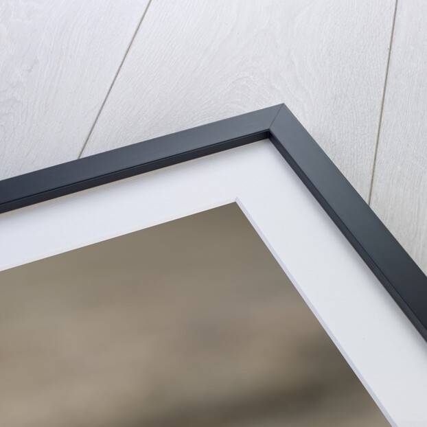 Red Headed Agama Lizard in Serengeti National Park, Tanzania by Anonymous