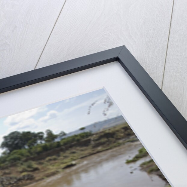 Wildebeest Migration in Masai Mara, Kenya by Anonymous