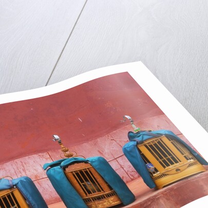 Wooden Bird Cages Against Ancient City Wall by Anonymous