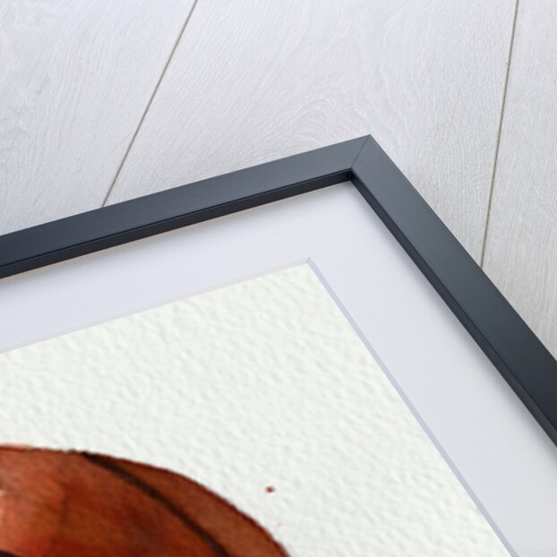 Basketball by Anonymous