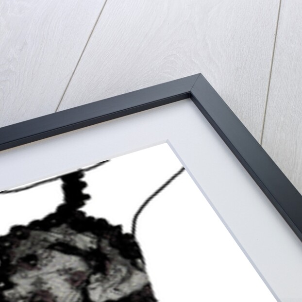 Woman Measuring Her Waist by Anonymous