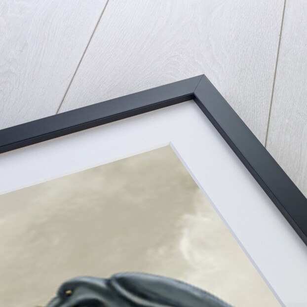 The fox and the crow by Anonymous