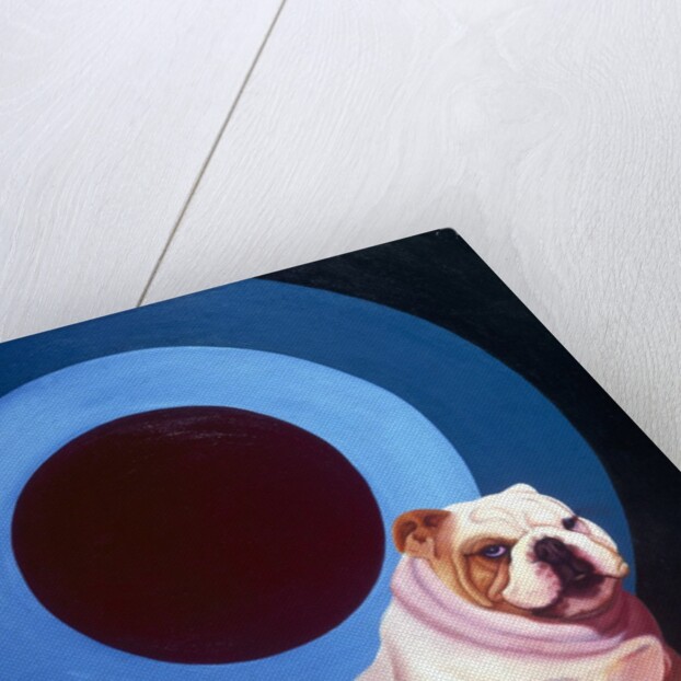 Bulldog in the middle of a bulls eye ring by Anonymous