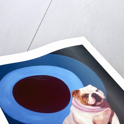 Bulldog in the middle of a bulls eye ring by Anonymous