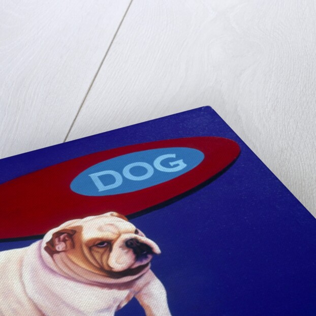 Bulldog by Anonymous