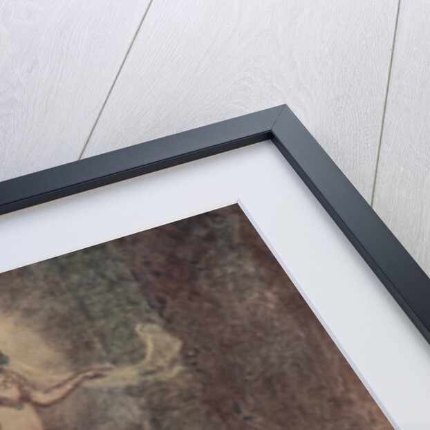 He Saw a Beautiful Woman Coming Out of the Palace by Warwick Goble