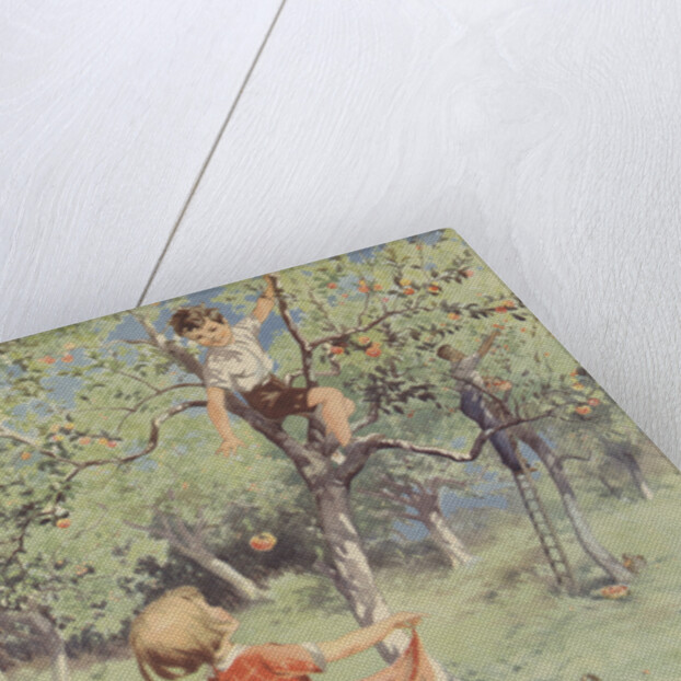 The Apple Orchard Book Illustration by Anonymous