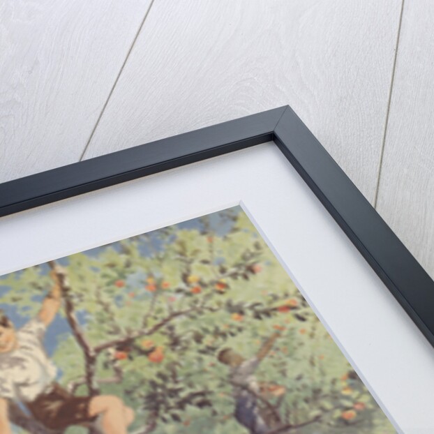 The Apple Orchard Book Illustration by Anonymous