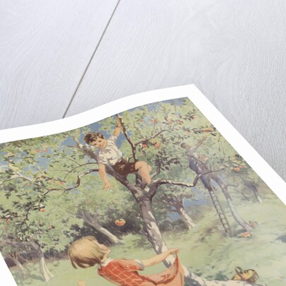 The Apple Orchard Book Illustration by Anonymous