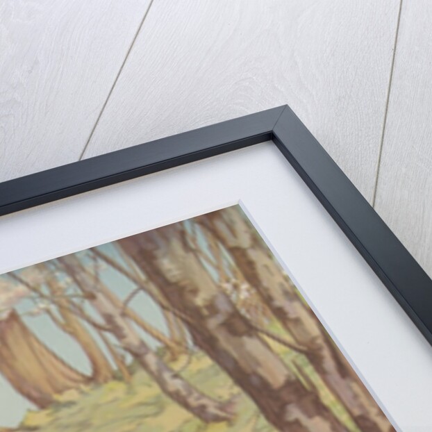 Primroses and Violets by K. Nixon