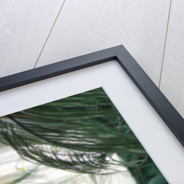 Mardi Gras Mask by Anonymous