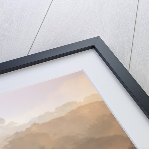 Morning Fog and Tropical Rainforest Canopy in Ecuador by Anonymous