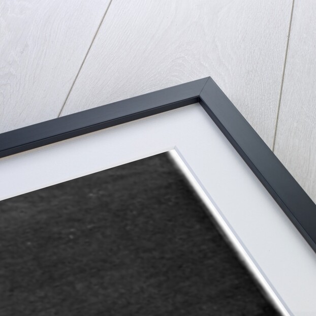 Illustration of the Debut of Electric Lighting in Place de la Concorde by Anonymous