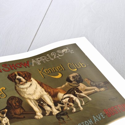 New England Kennel Club Bench Show Poster by Anonymous