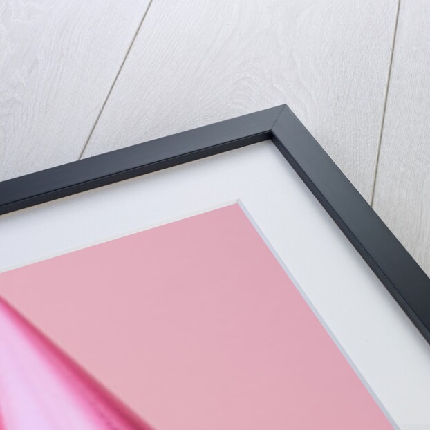 Dog Wearing Party Hat by Anonymous