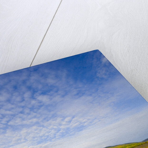 Northern British Columbia Landscape in Fall by Anonymous