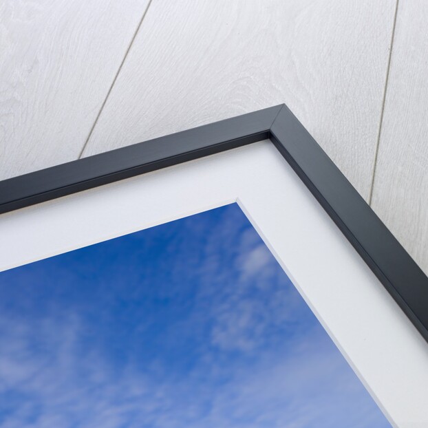 Northern British Columbia Landscape in Fall by Anonymous