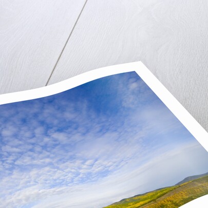 Northern British Columbia Landscape in Fall by Anonymous