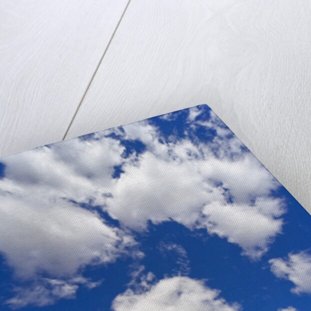 Beautiful Cumulus Clouds and Golden Prairie by Anonymous