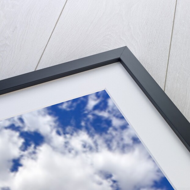 Beautiful Cumulus Clouds and Golden Prairie by Anonymous