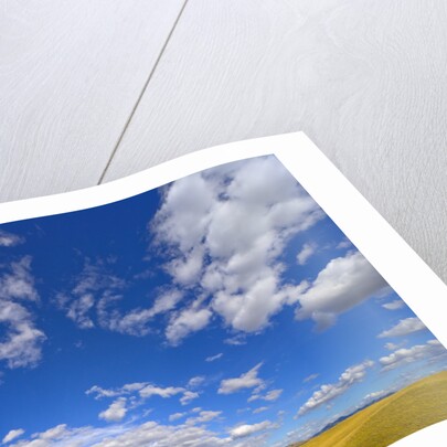 Beautiful Cumulus Clouds and Golden Prairie by Anonymous