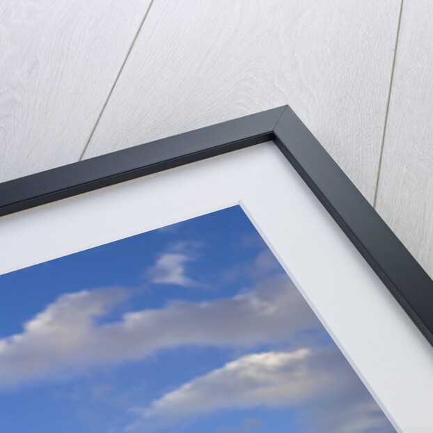 Big Sky and Grand Canyon Chasms by Anonymous