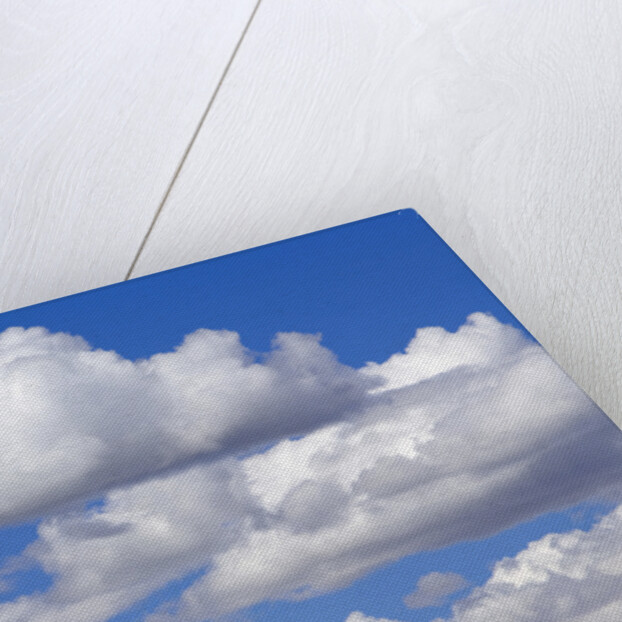 Cumulus Clouds Floating in Clear Blue Sky in Fall by Anonymous
