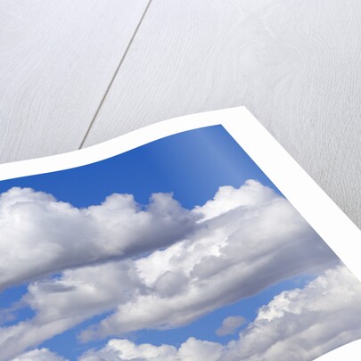 Cumulus Clouds Floating in Clear Blue Sky in Fall by Anonymous