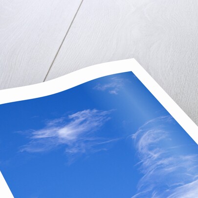 Delicate Cirrus Clouds Above Desert by Anonymous