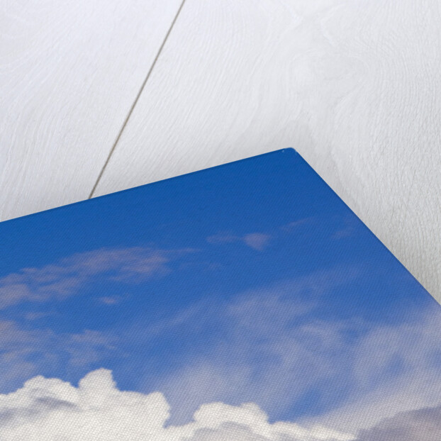 Dramatic Big Cumulus Clouds at Noon by Anonymous