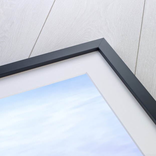 Surf Lapping Sandy Beach in Winter by Anonymous