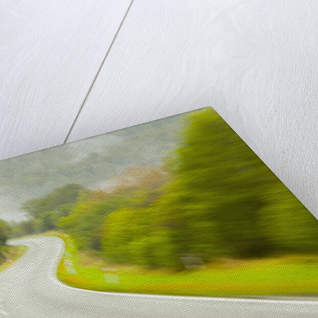 Winding Coastal Road Among Bush Covered Hills by Anonymous