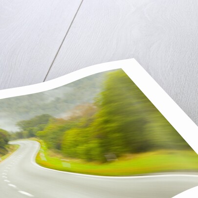 Winding Coastal Road Among Bush Covered Hills by Anonymous