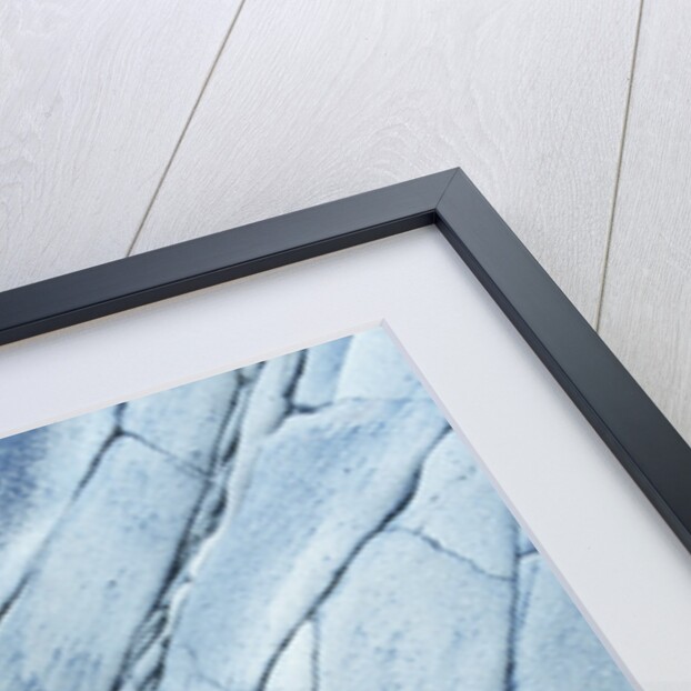 Rocks Against Cracked Boulder by Anonymous