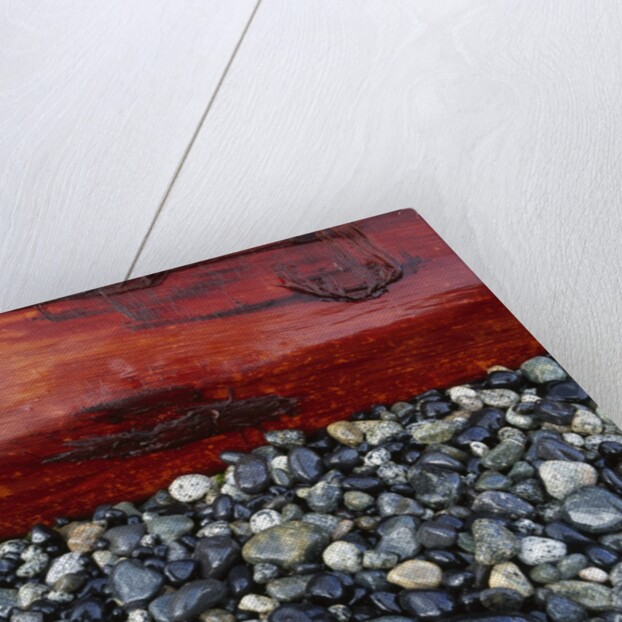 Log on Pebbles by Anonymous